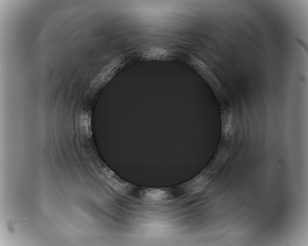 X0000099950669200806131448