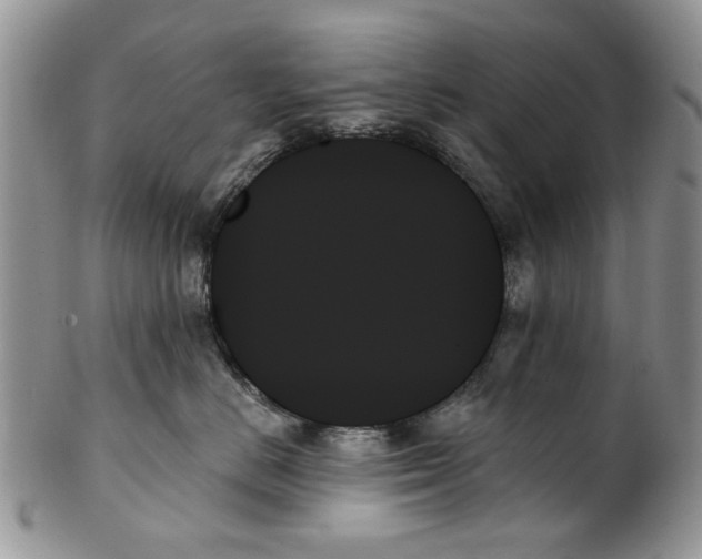 X0000099950670200806131448