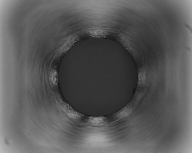 X0000099950671200806131448