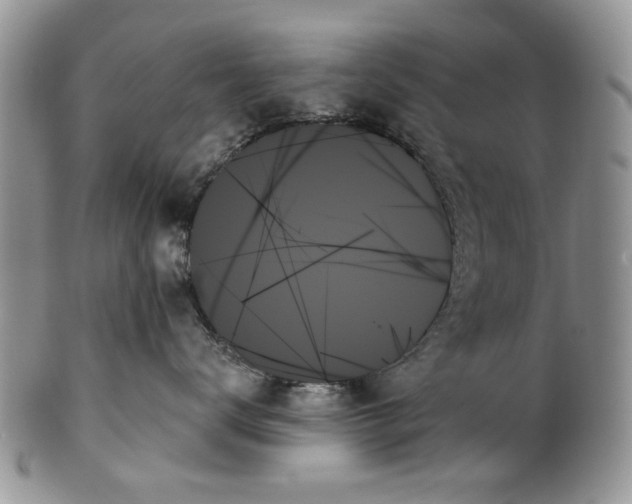 X0000099950672200806131449