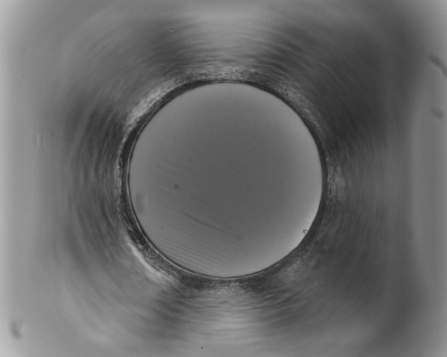 X0000099950674200806131448