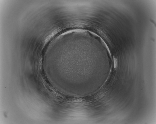 X0000099950675200806131448