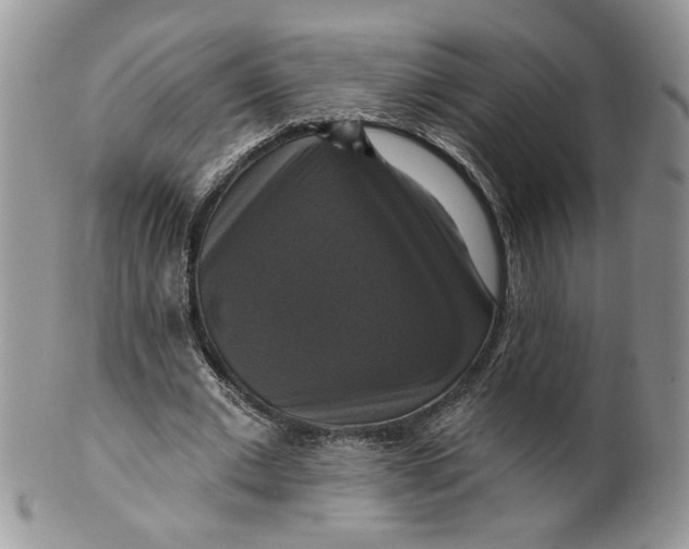 X0000099950677200806131448