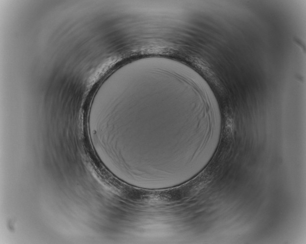 X0000099950678200806131448