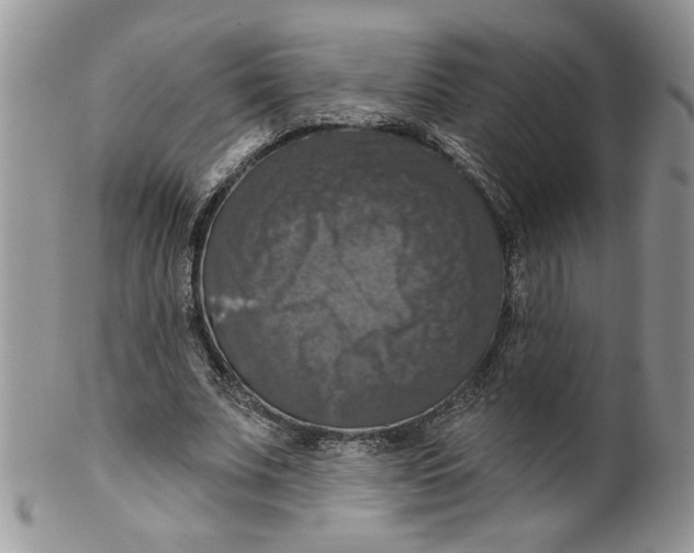 X0000099950679200806131448