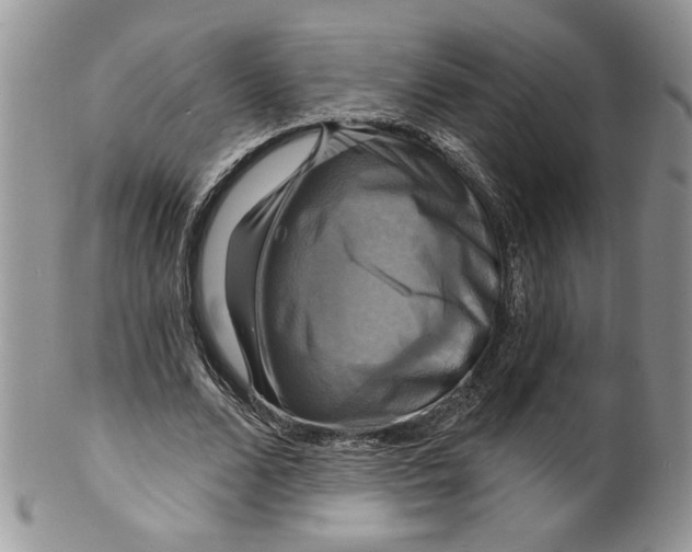 X0000099950680200806131448