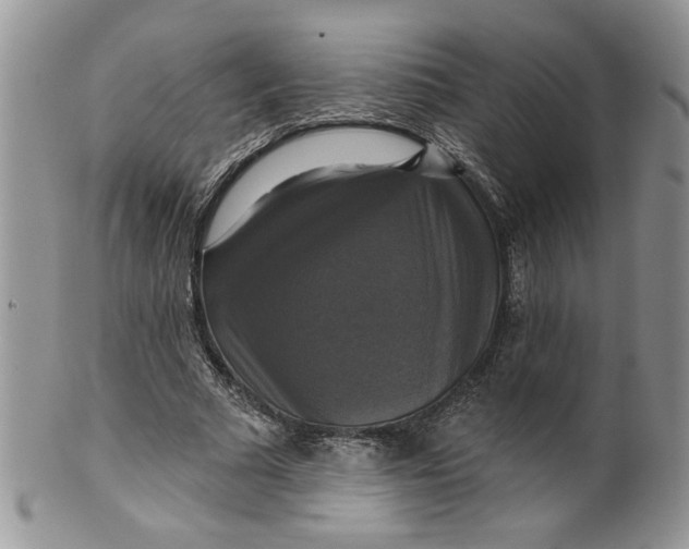 X0000099950681200806131448