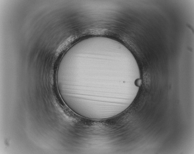 X0000099950682200806131448