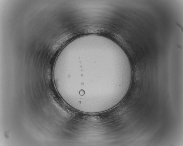 X0000099950683200806131448