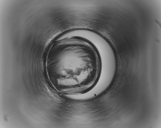 X0000099950684200806131448