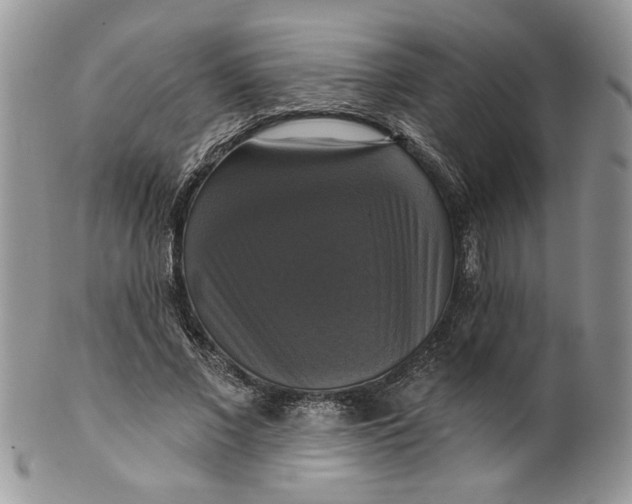 X0000099950685200806131448