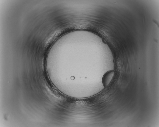 X0000099950686200806131448