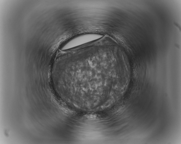 X0000099950687200806131448