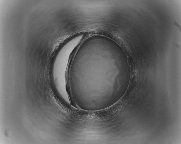 X0000099950688200806131448