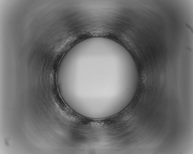 X0000099950690200806131448