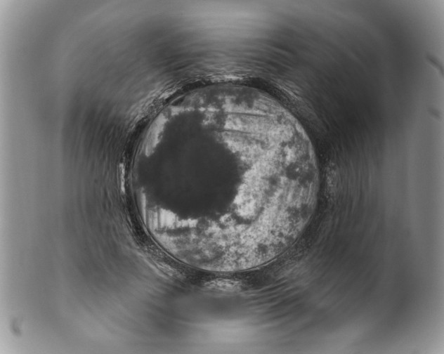 X0000099950691200806131448