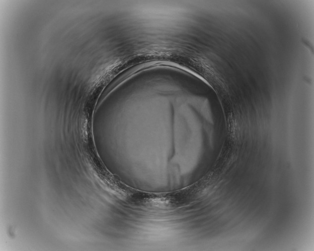 X0000099950692200806131448