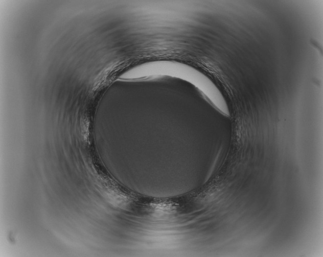 X0000099950693200806131448