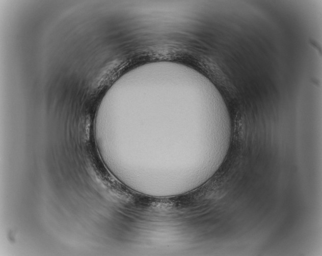 X0000099950694200806131448