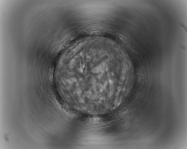 X0000099950695200806131448