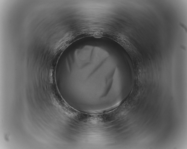 X0000099950696200806131448