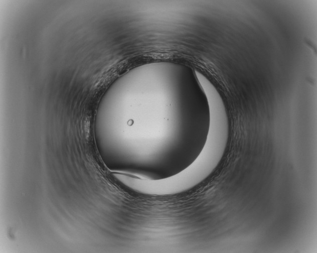 X0000099950697200806131448