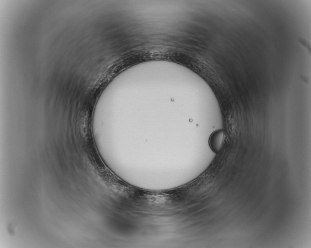 X0000099950698200806131448