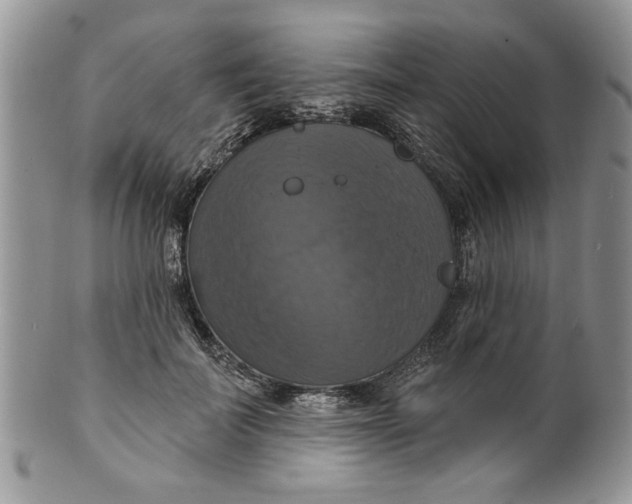 X0000099950699200806131447