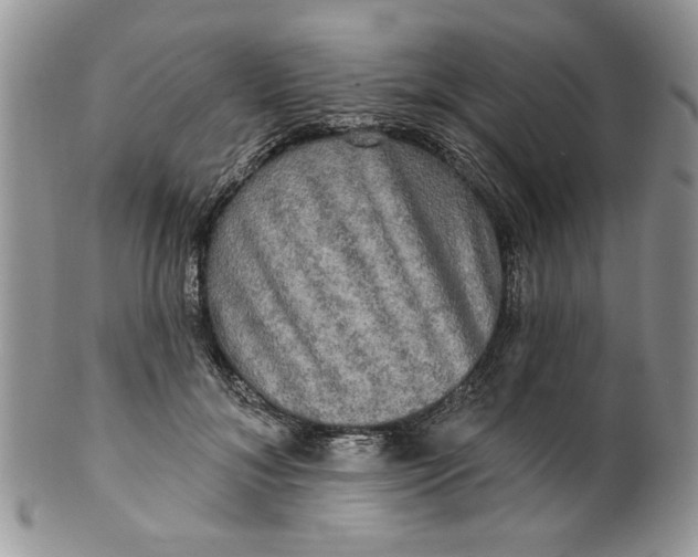 X0000099950700200806131447