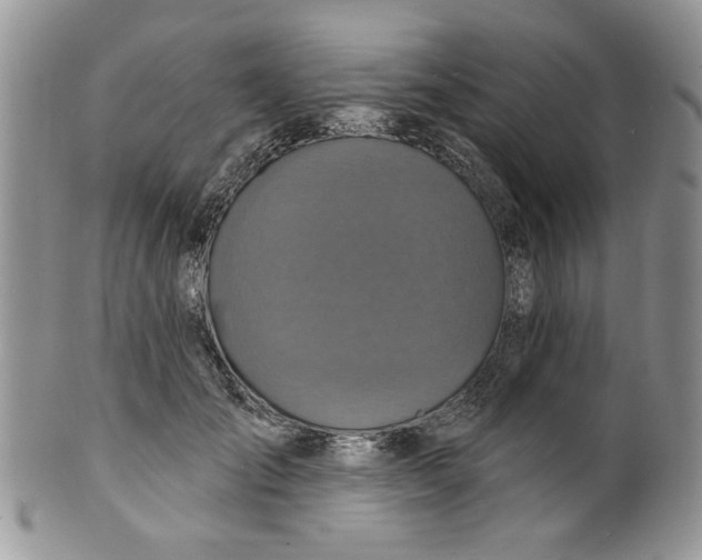 X0000099950701200806131447