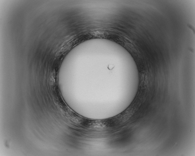 X0000099950702200806131447