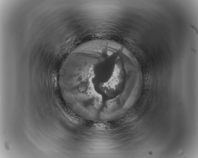 X0000099950703200806131447