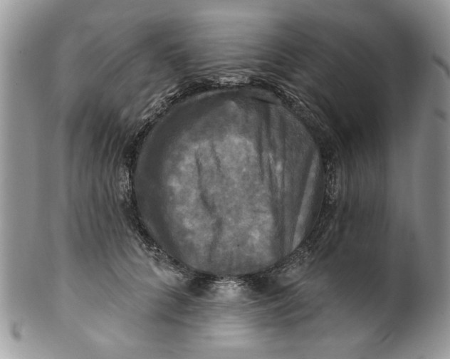 X0000099950704200806131447