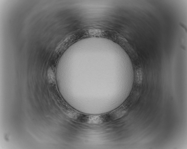 X0000099950705200806131447