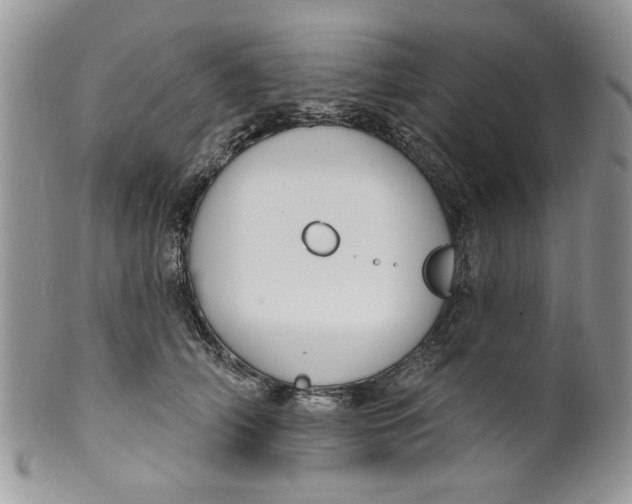 X0000099950706200806131447