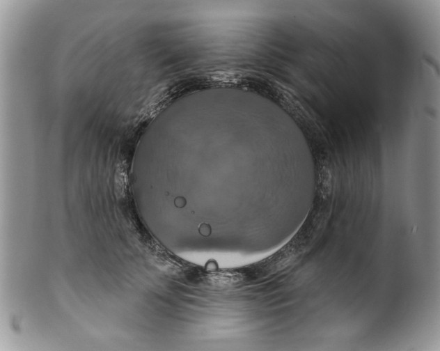 X0000099950707200806131447