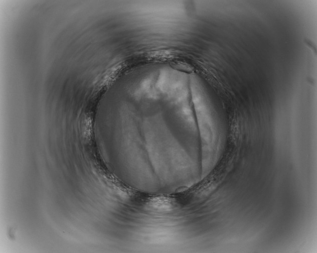 X0000099950708200806131447