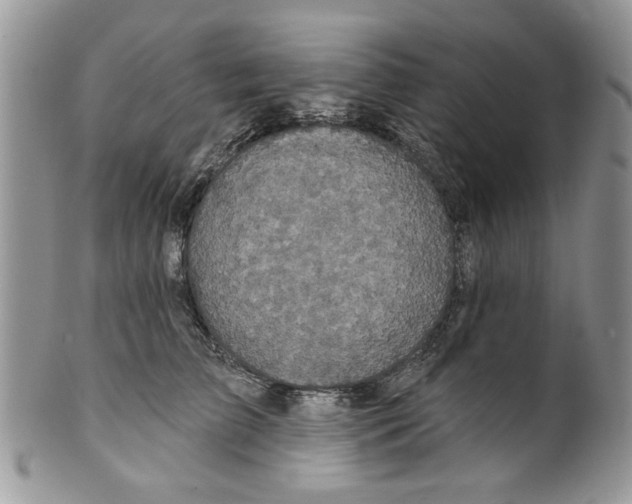 X0000099950709200806131447