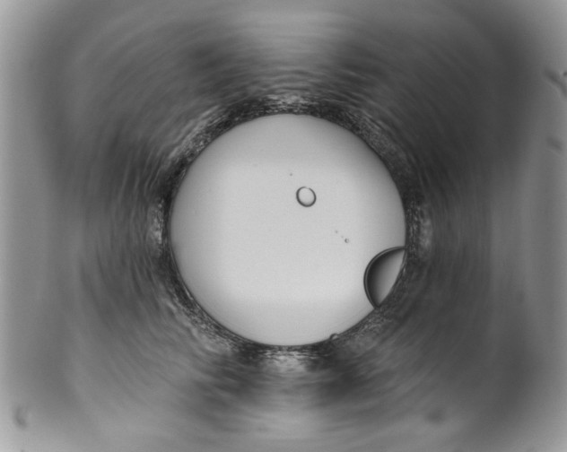 X0000099950710200806131447