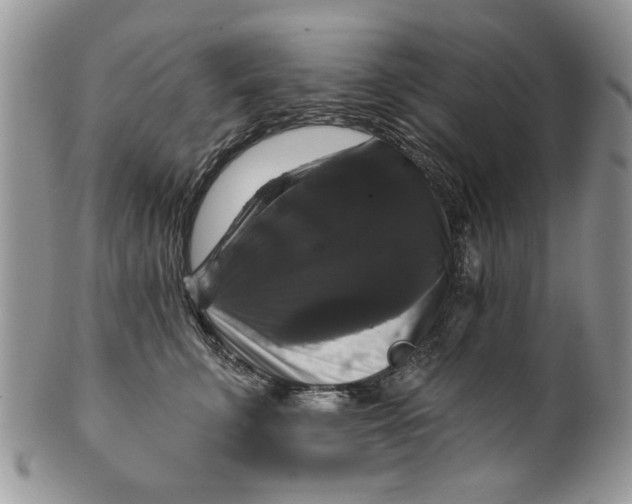 X0000099950711200806131447