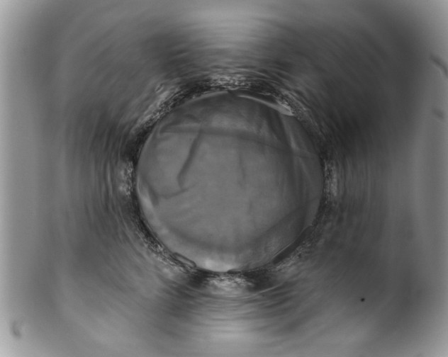 X0000099950712200806131447