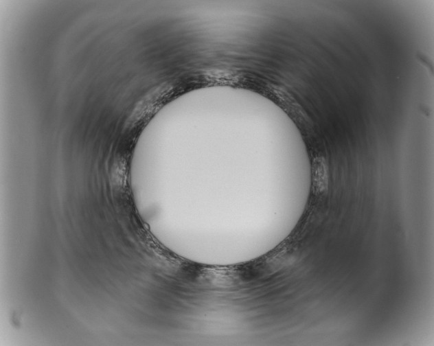 X0000099950713200806131447