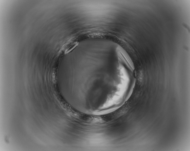 X0000099950715200806131447