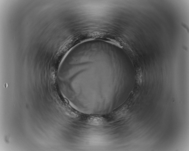 X0000099950716200806131447