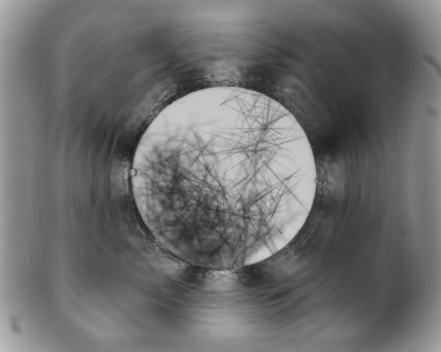 X0000099950717200806131447