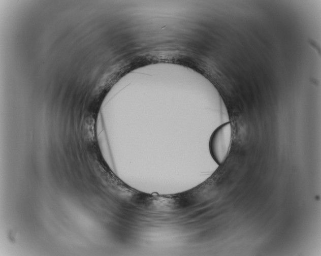 X0000099950718200806131447