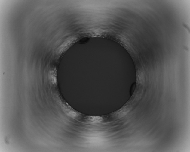 X0000099950719200806131447