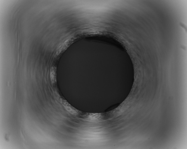 X0000099950720200806131447