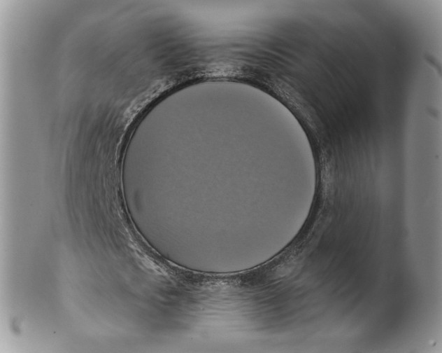 X0000099950721200806131447