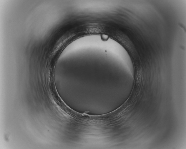 X0000099950722200806131447